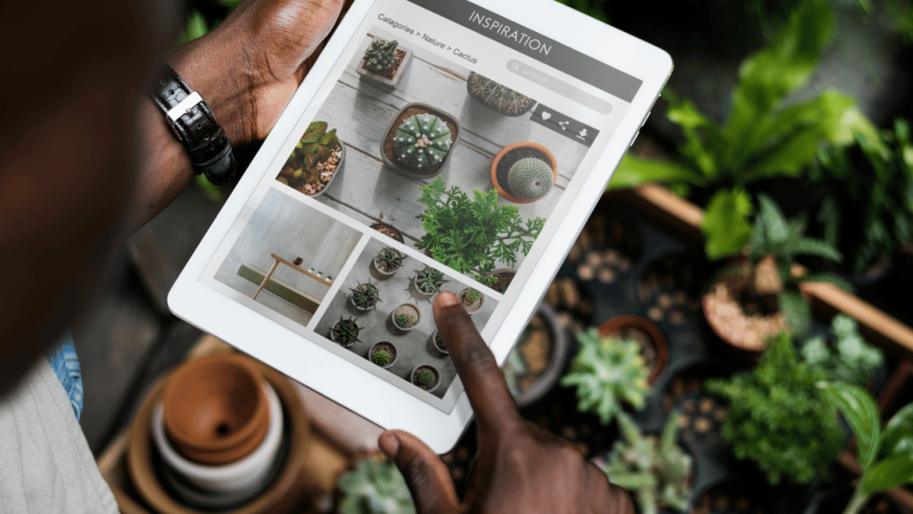 Applications pour reconnaître les plantes : notre guide complet Applications pour reconnaître les plantes